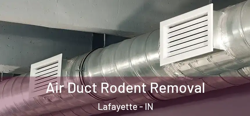  Air Duct Rodent Removal Lafayette - IN