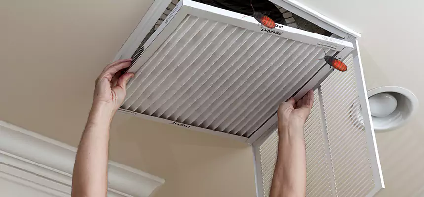Our Insect Removal from Air Ducts Services in Lafayette, IN