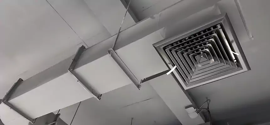 Our Pest Removal From Ducts Services in Lafayette, IN