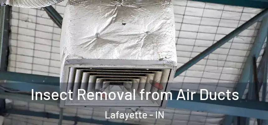 Insect Removal from Air Ducts Lafayette - IN