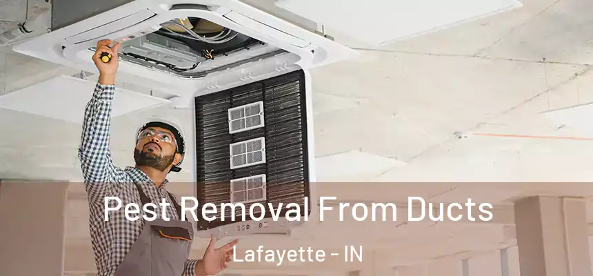 Pest Removal From Ducts Lafayette - IN