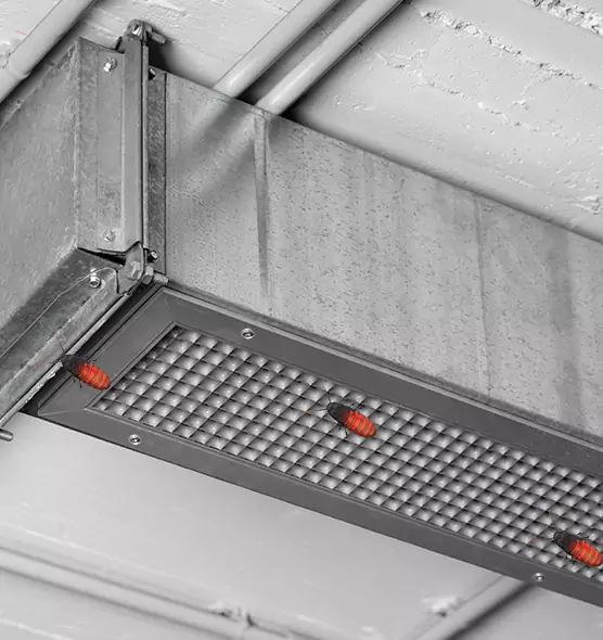 About Air Duct Cockroach Removal in Lafayette, IN