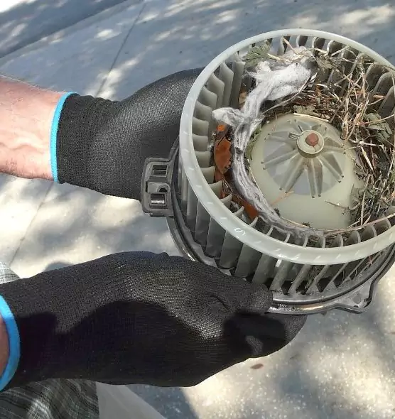 About Air Duct Mice Removal in Lafayette, IN