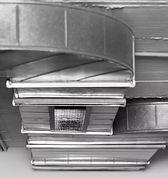 Professional Air Duct Pest Removal in Lafayette, IN