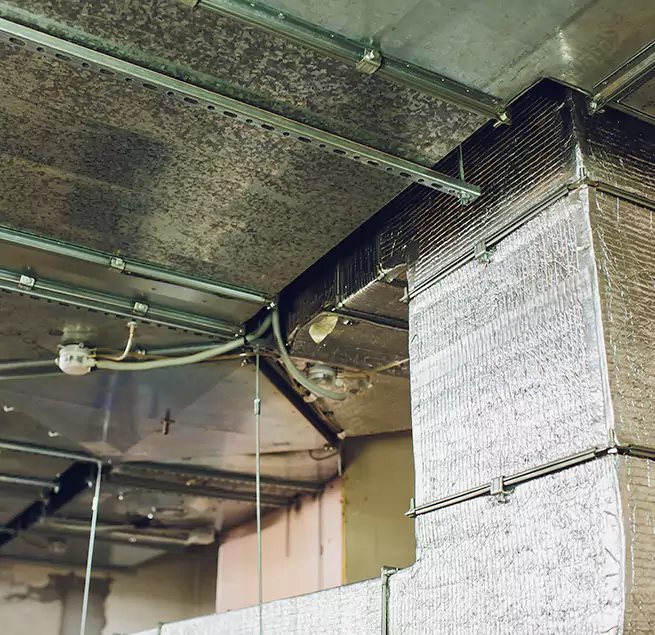 Why Homeowners & Businesses Trust Us in Lafayette, IN?